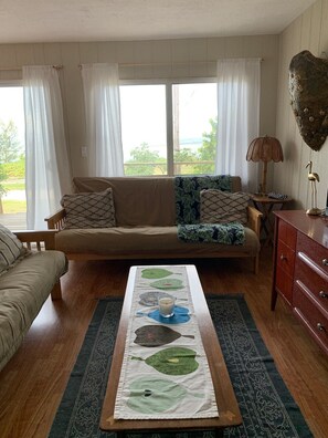 TV, DVD player, books, printers