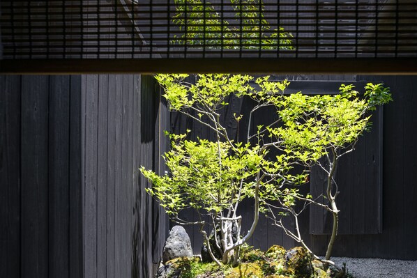 Utsikt fra overnattingsstedet