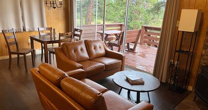 License # 3031 Estes Park remodeled detached cabin, views, quiet area.