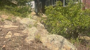 Un sentier rocailleux menant à une maison entourée d’arbres.