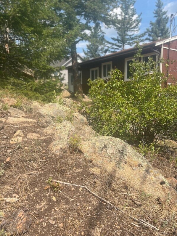 Een rotsachtige pad naar een huis, omringd door bomen.