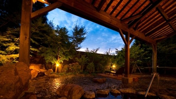 Una estructura de madera con un sendero de piedra que conduce a una fuente acuática reflectante, rodeada de rocas y árboles.