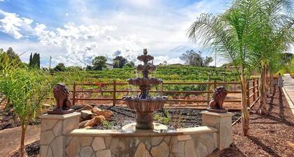 Private Vineyard Estate w/ Guest House & Hot Tub