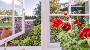 A view through a window with red flowers in a pot, a garden with various plants, and a lawn. - Little Pontus (Canterbury)