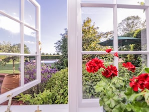 Cottage | Balcony - Little Pontus (Canterbury)