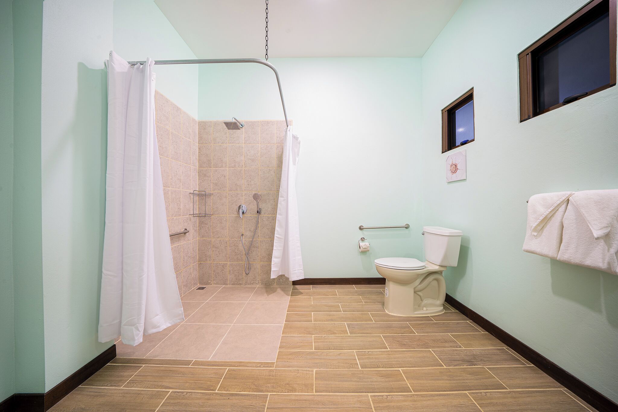 A bathroom with a shower, toilet, and towel rack.