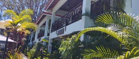 A building with a covered walkway, surrounded by lush tropical plants.