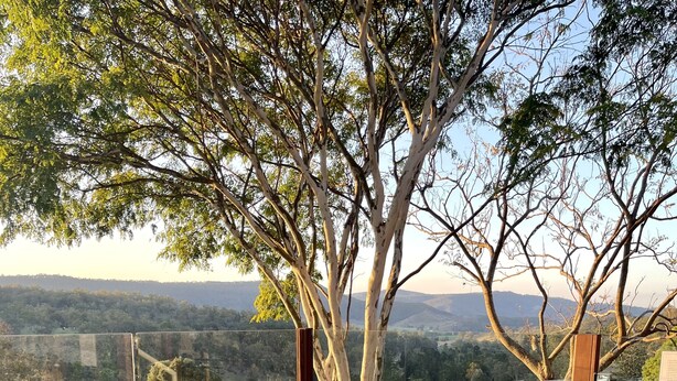 Une table à plateau de verre, entourée de quatre chaises en osier noir, posée sur une terrasse en bois, le tout bordé d’arbres et offrant une vue sur des collines lointaines.