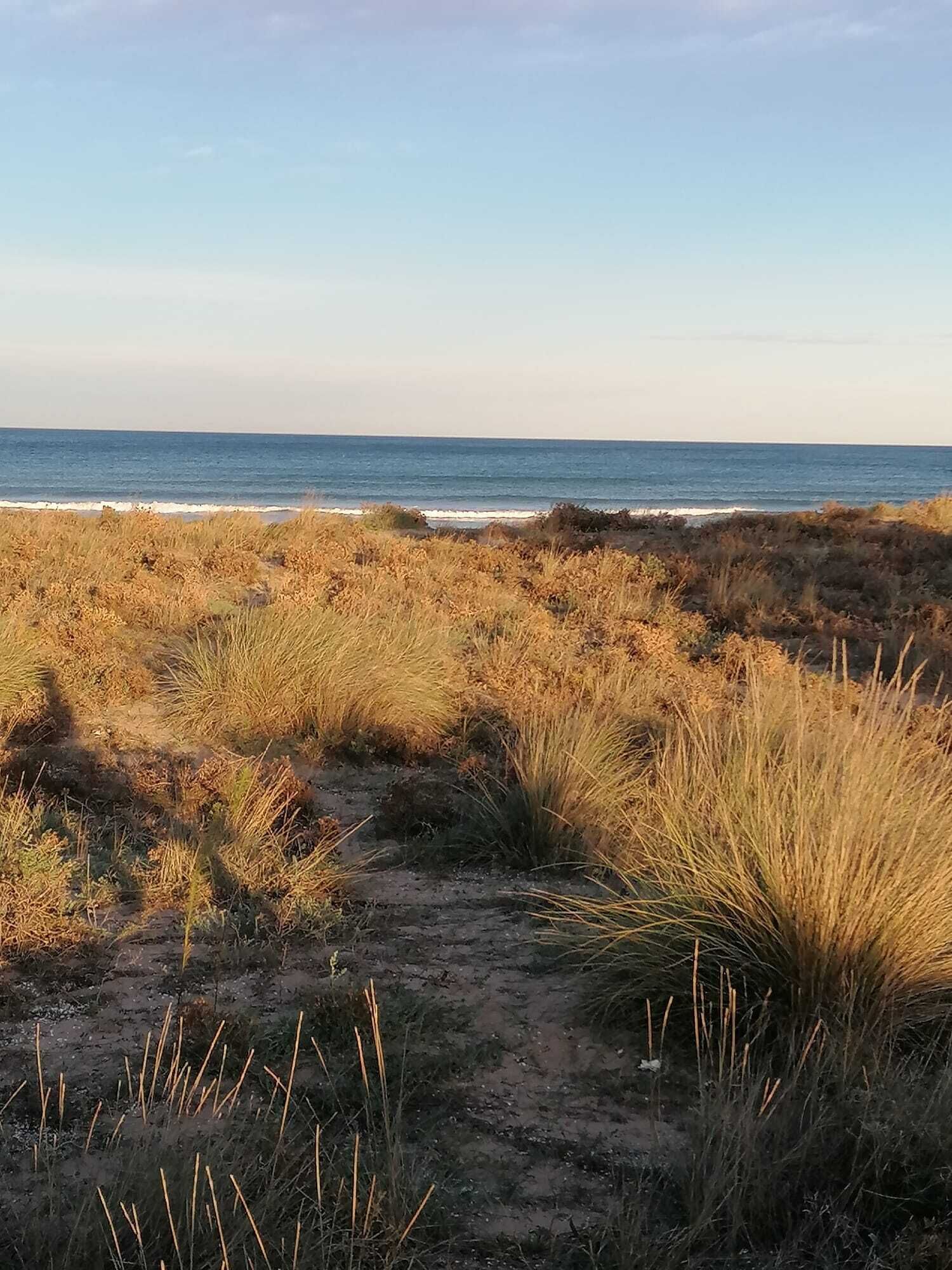 Plage à proximité, chaises longues