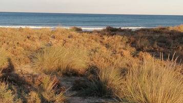 Plage à proximité, chaises longues