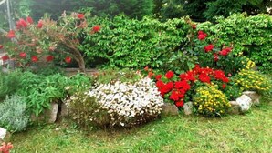 Ein Garten mit verschiedenen Pflanzen und Blumen, darunter rote und gelbe Blüten, und eine Steinmauer.