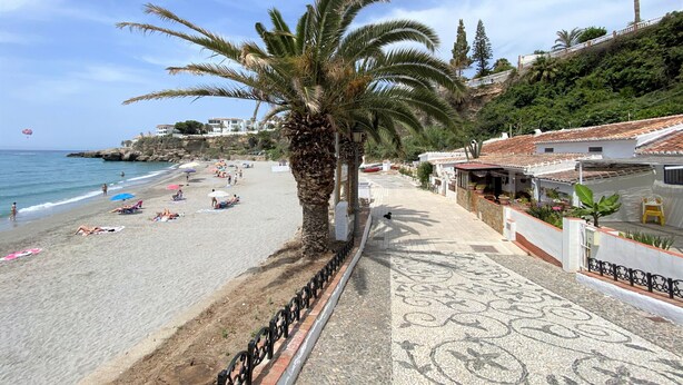 Une plage bordée de palmiers, une promenade dallée et des bâtiments en arrière-plan.