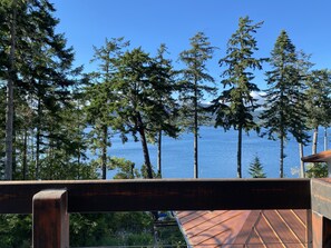 Property grounds - Waterfront! Tiny House Sweet-Suite perched in the forest on the oceanfront. (Sooke)