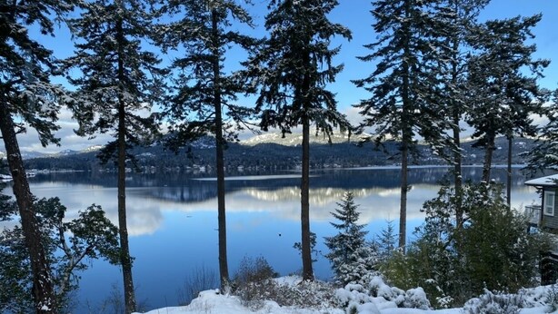 Una vista serena de la orilla de un lago, con suelo y árboles cubiertos de nieve, cielo despejado y un lago tranquilo que refleja el entorno.