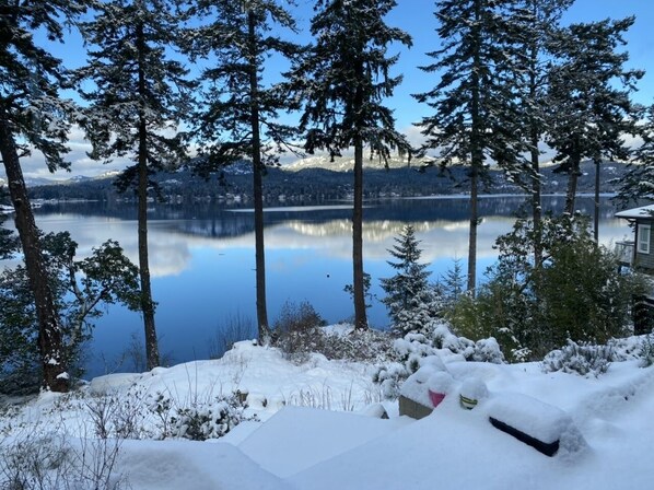 Property grounds - Waterfront! Tiny House Sweet-Suite perched in the forest on the oceanfront. (Sooke)