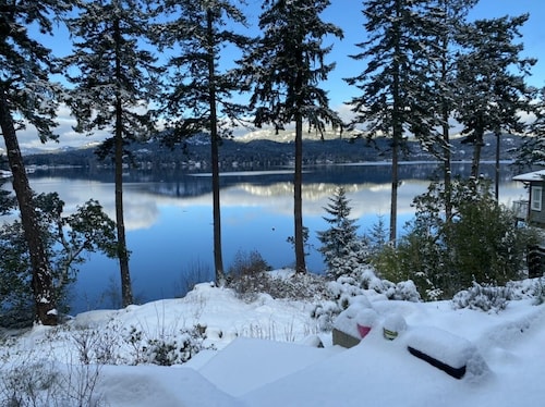 Waterfront! Tiny House Sweet-Suite perched in the forest on the oceanfront.