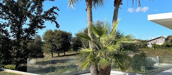 LUXURIOUS ARCHITECT VILLA with OVERFLOW SWIMMING POOL and FOREST VIEW