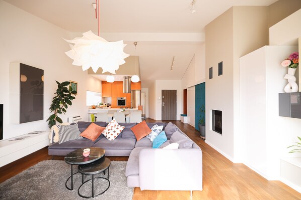 Smart TV, fireplace, books