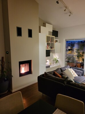 Smart TV, fireplace, books