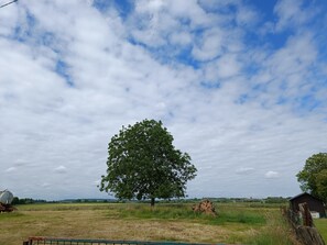 المنطقة المحيطة بالمنشأة