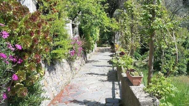 A stone pathway flanked by lush greenery and flowering plants, leading through a garden area. - The Sea - White House (Camporosso)