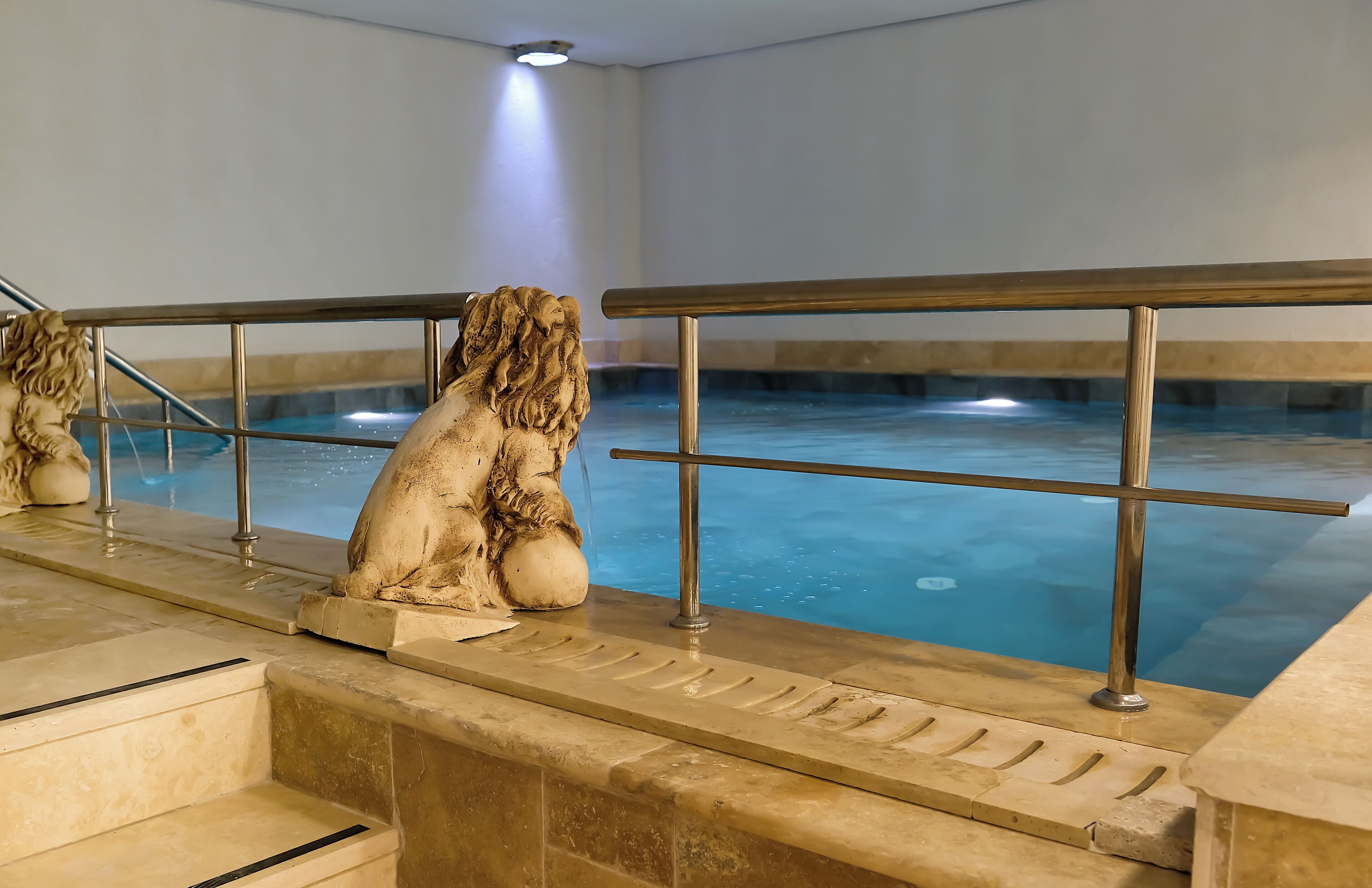 A hot tub with a lion statue, metal railing, and a tiled floor.