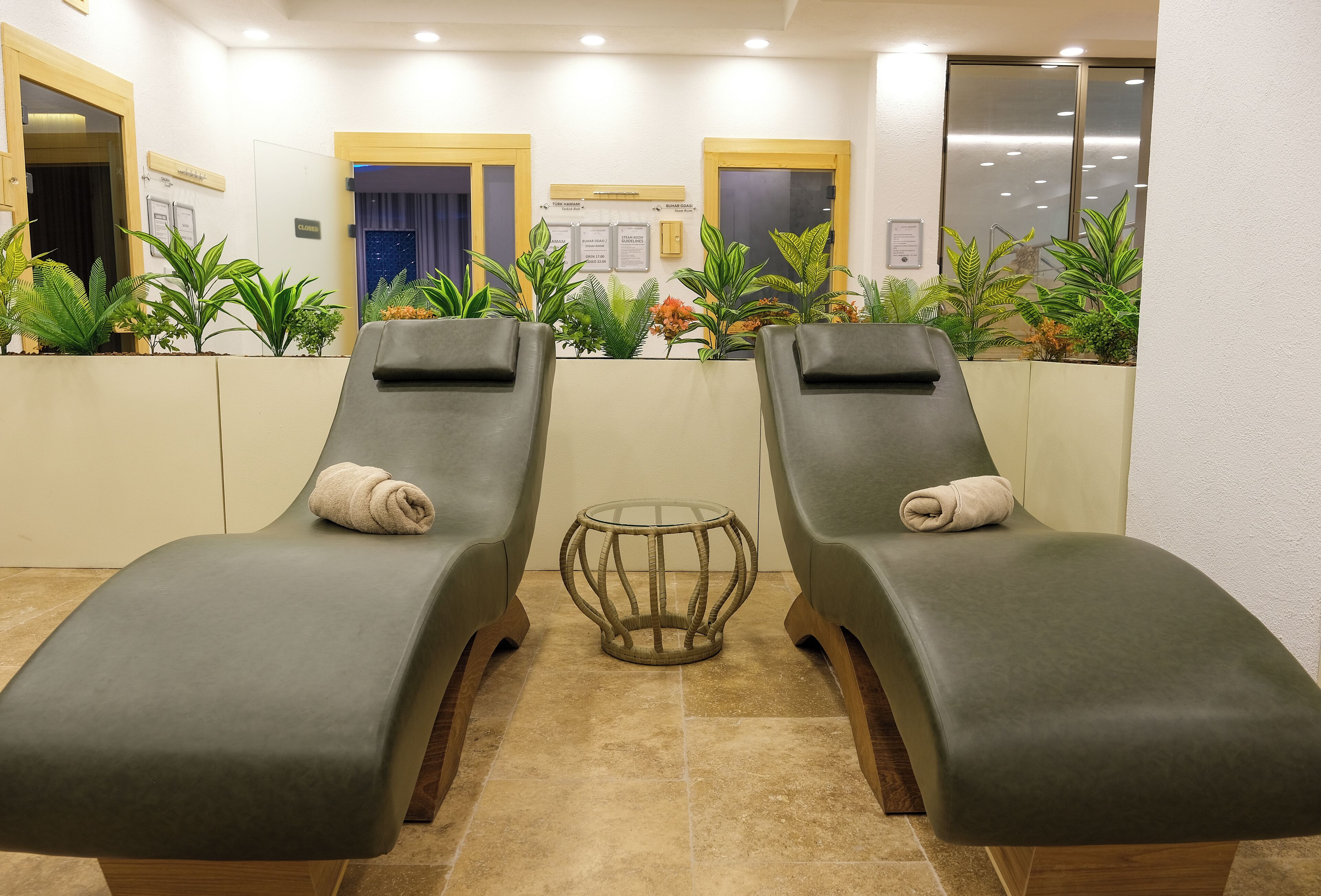 Two reclining chairs with towels, a glass table, and potted plants in a well-lit indoor area.