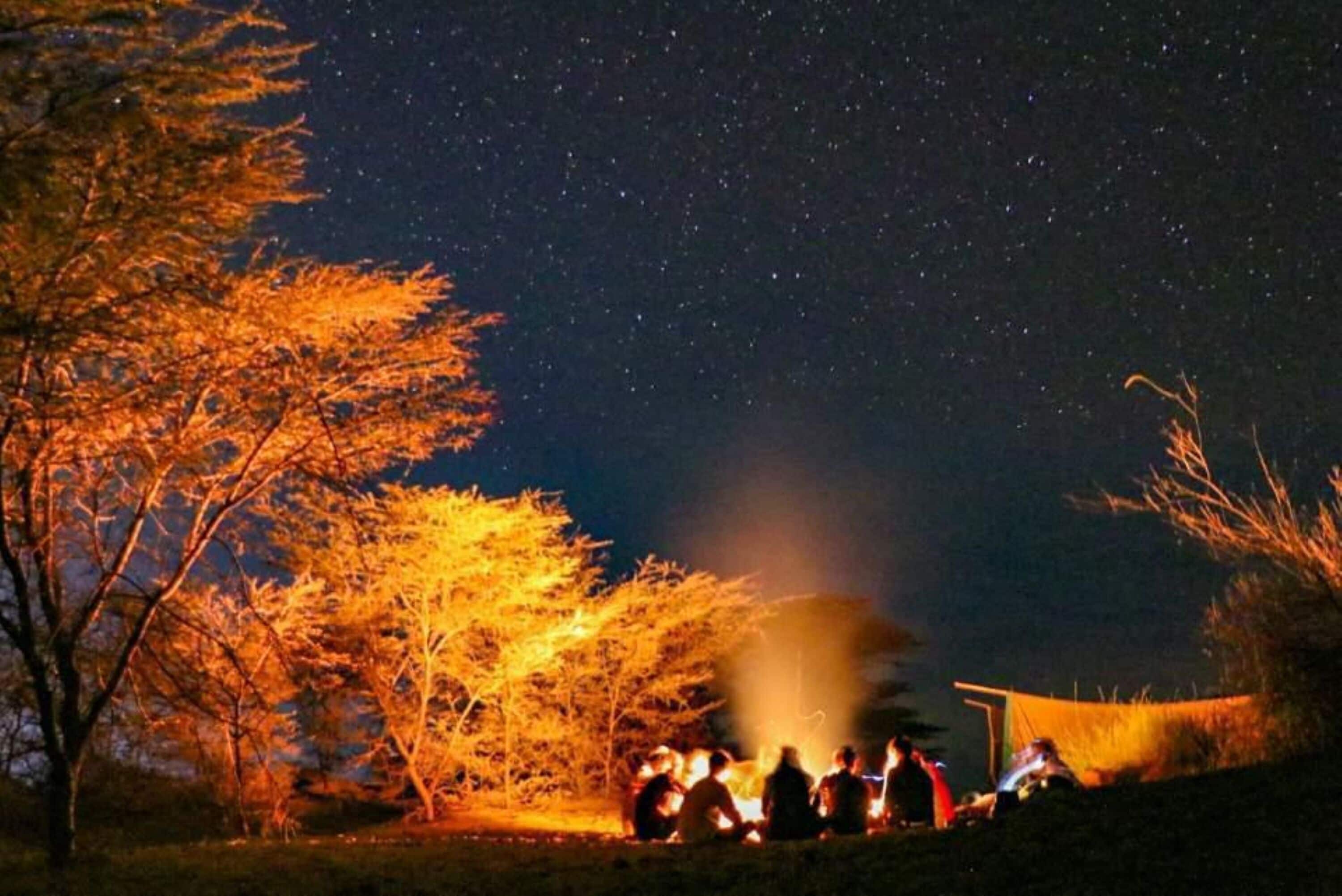 A group of people gathered around a campfire at night, with trees illuminated by the firelight.