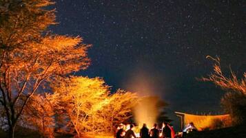 A group of people gathered around a campfire at night, with trees illuminated by the firelight.