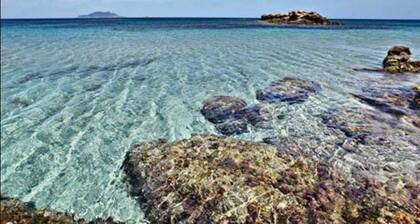 Luxury apartment al haouaria beach