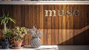 Un mostrador de recepción de madera con la palabra "muse" en él, rodeado de plantas en macetas y platos decorativos.