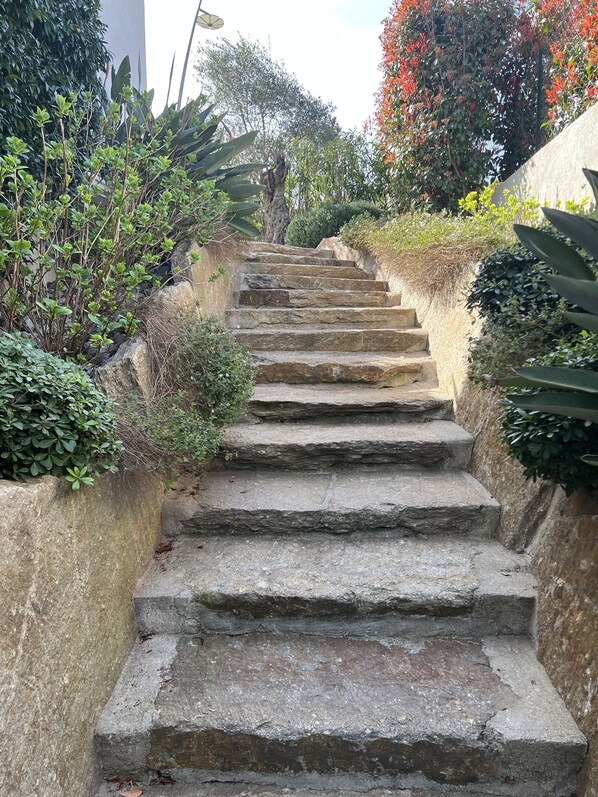 A stone staircase surrounded by lush greenery and plants.