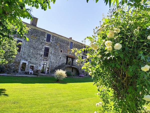 A stone building with a courtyard, a small garden, and a white rose bush.