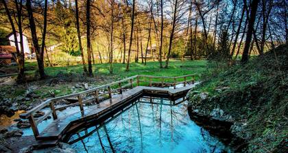Rooftop Home With Whirlpool & Sauna