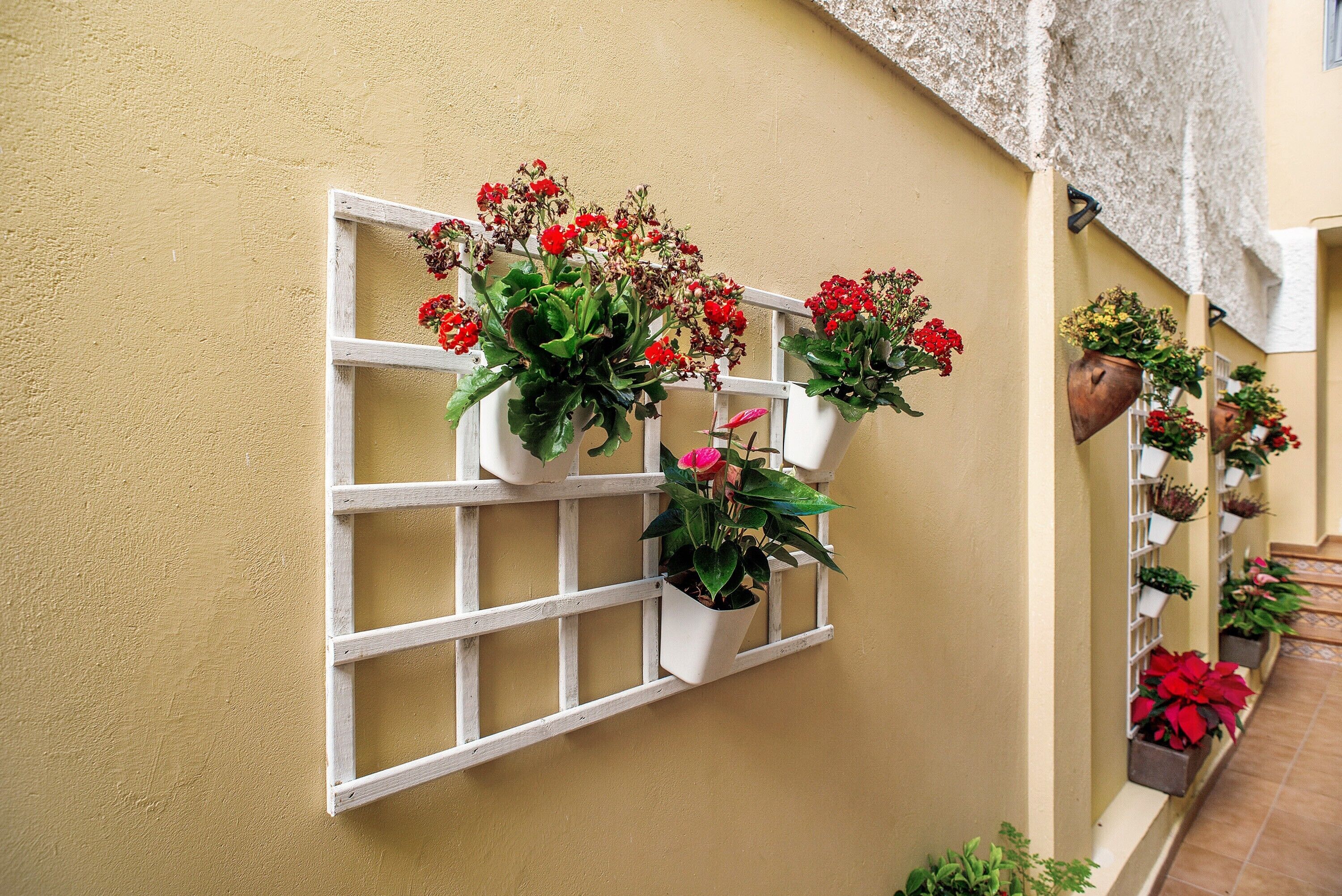 A wall-mounted planter with red flowers and a white trellis.