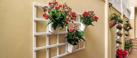 A wall-mounted planter with red flowers and a white trellis.