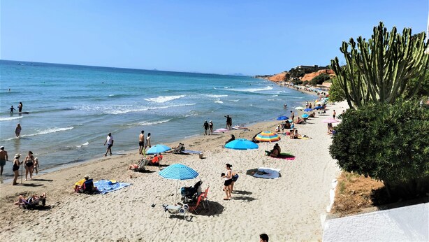 Ein Strand mit Menschen, Sonnenschirmen und einer Kaktuspflanze.