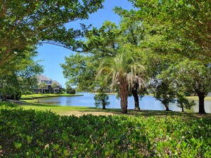 Property grounds - Nicely furnished Oyster Catcher 404 (Pawleys Island)