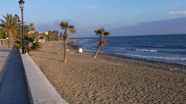 A beach with a paved walkway, palm trees, and a view of the ocean. - Apartment '2 Bed-rooms with A View' with Sea View, Wi-Fi and Air Conditioning (Benahavís)
