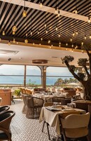 A restaurant with tables and chairs, a large tree, and a view of the sea.