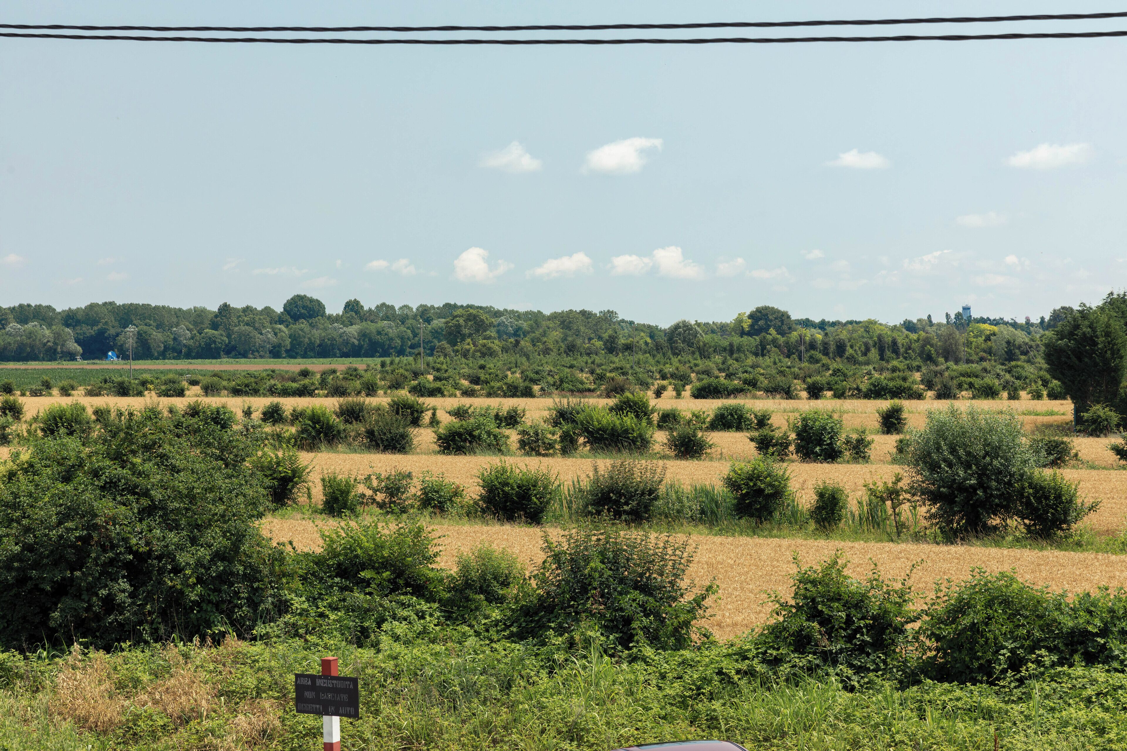 Photo - Torre Antica Venice Airport Hotel