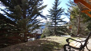 Une terrasse en bois avec un banc, entourée de grands arbres à feuilles persistantes et offrant une vue sur la montagne.