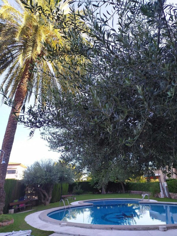 Alberca