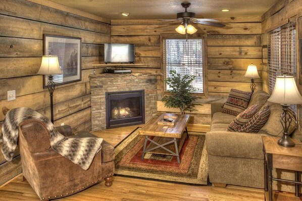 TV, fireplace, DVD player