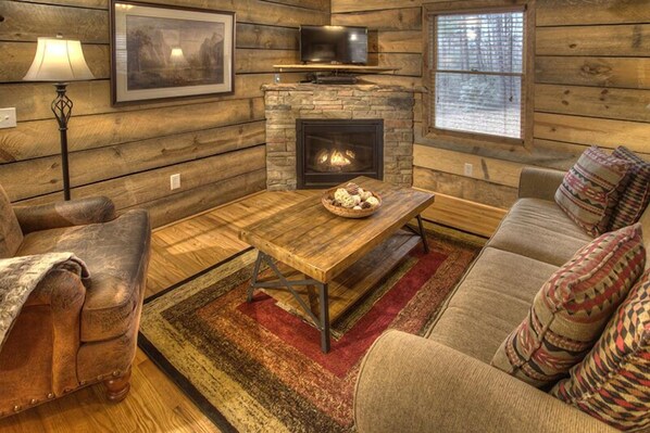 TV, fireplace, DVD player