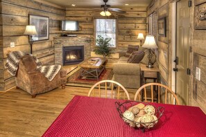 TV, fireplace, DVD player