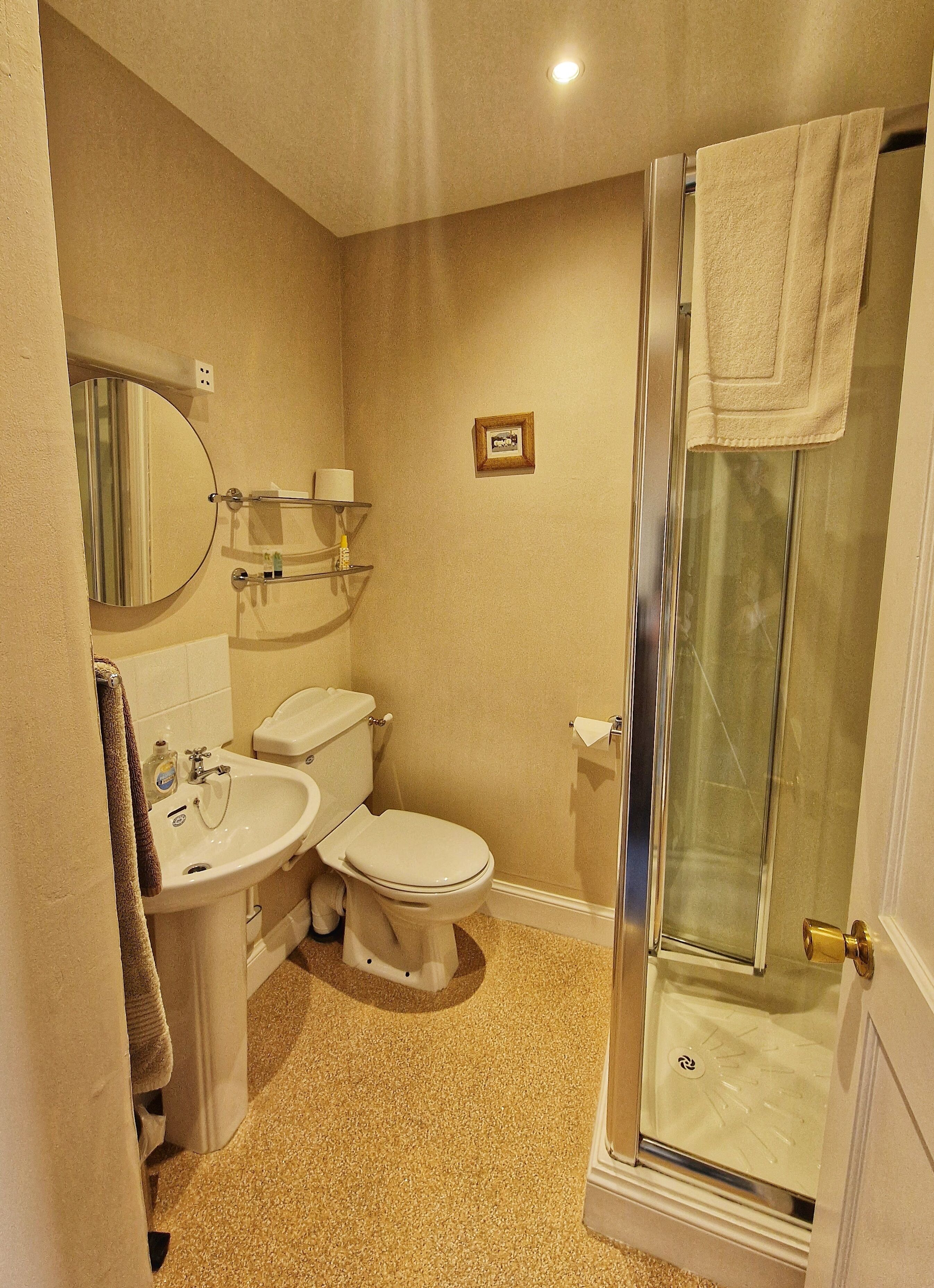 A bathroom with a toilet, sink, and a glass-enclosed shower.