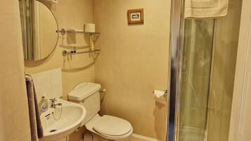 A bathroom with a toilet, sink, and a glass-enclosed shower.