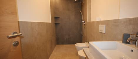 Shower, hair dryer, bidet, towels