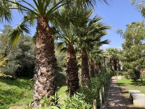 Terrain de l’hébergement 